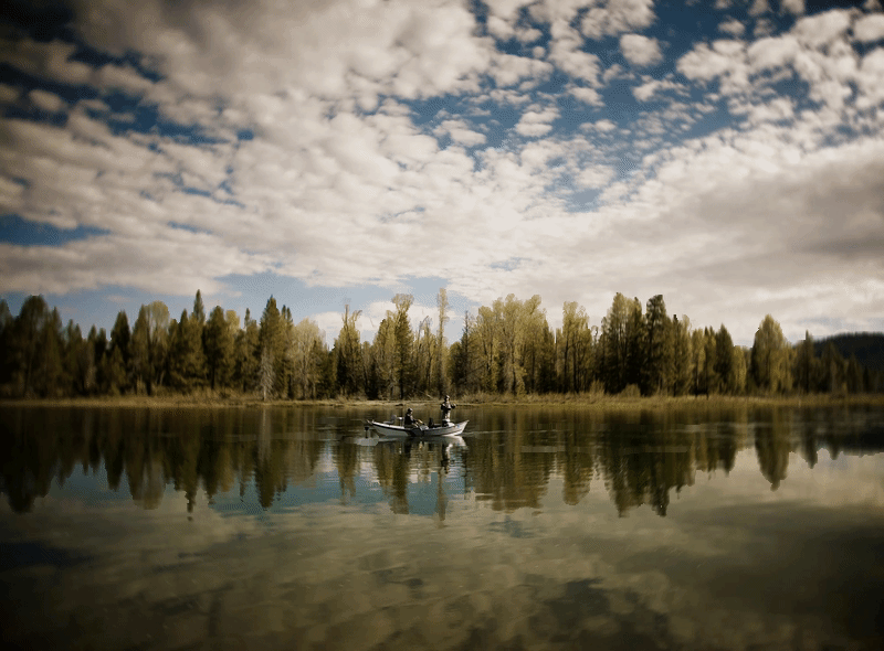 Teton Flyfish